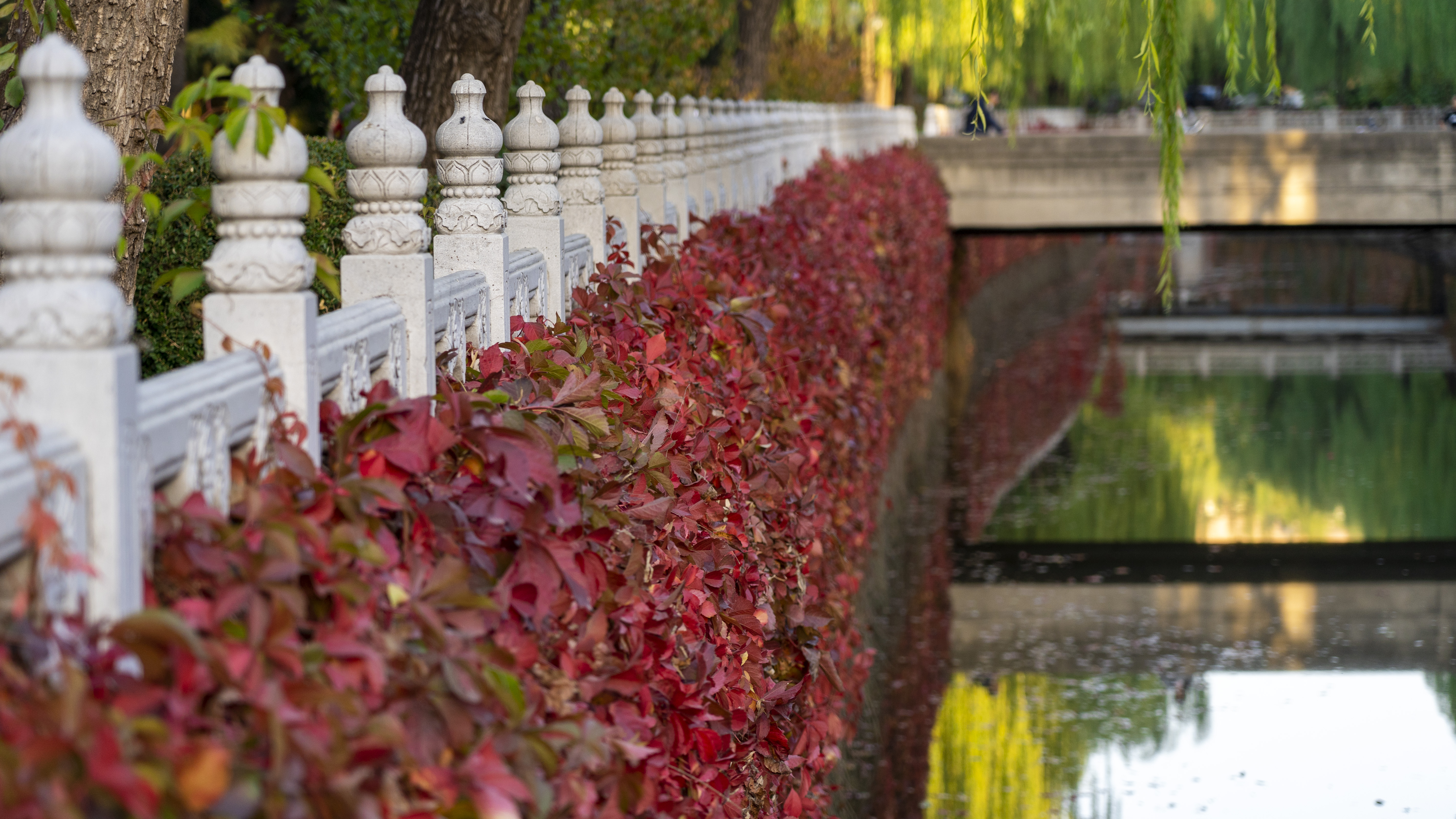 Tsinghua University campus scenery